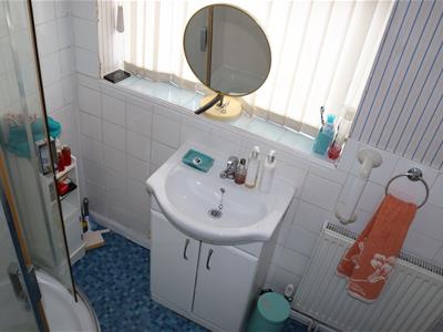 Picture 14